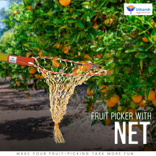 Utkarsh Mango Fruit Plucker with Net|Fruit Picker|Fruit Harvester (5-7 Kg)|Nylon Net Metal Frame|Fruit Basket Capacity Garden Tool-Set of 1 PC - Image 2