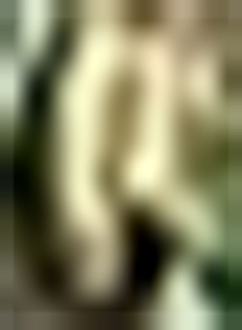 GGOOT Cantaloupe Samen 50Stück Kletterfrucht seltene Sorte grüne raue Haut süßes Fleisch damit die ganze Familie die saftige Frucht genießen kann - Image 2