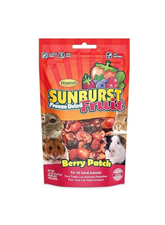 HigginS Sunburst Freeze Dried Fruit Treats Berry Patch for Hamster - 0.52OZ - Image 1