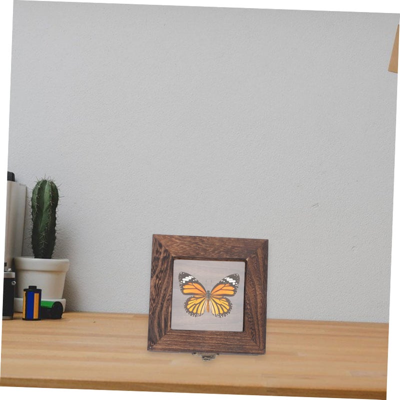 Vintage Insect Specimen Display Case With Lid Dustproof Compact Design 10X10X5CM - Image 5