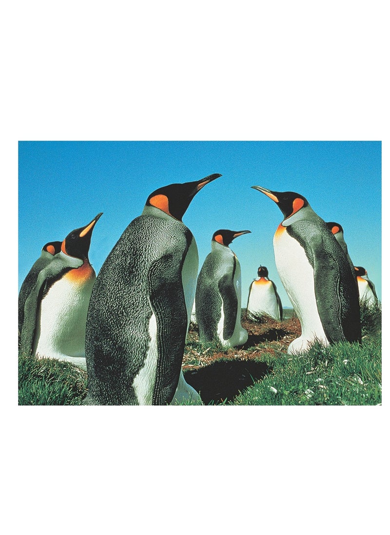 TOMAX - Tomax - Penguin's Paradise Puzzle 500 Pieces - 50-023 - Image 1