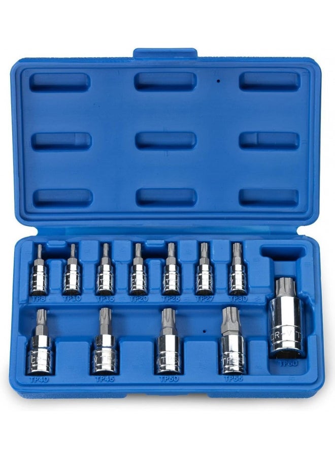 Neiko 10086A 6 Point Torx Plus Bit Socket Set, 1/4-Inch, 3/8-Inch and 1/2-Inch Drive, TP8 - TP60, 12-Piece