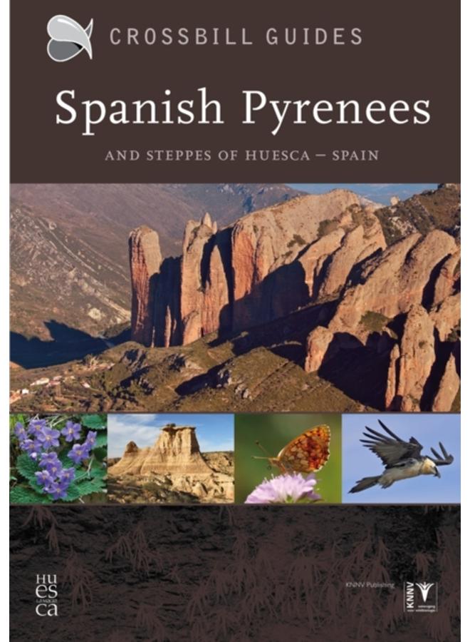 Spanish Pyrenees : And Steppes of Huesca - Spain