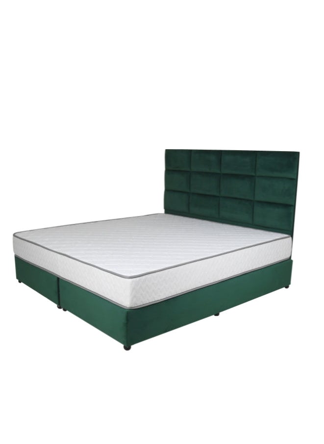 Bed and Mattress Zone Plushify Upholstered Bed 200 X 100 Single Size Green Color  - Image 2