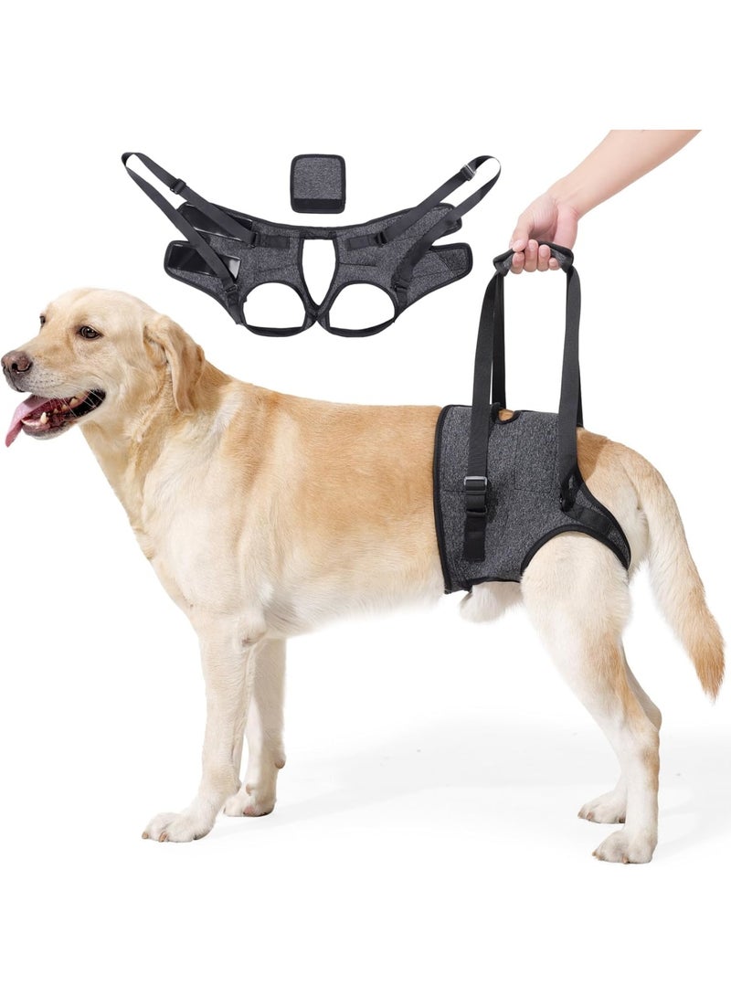 SYOSI Dog Lift Harness, Padded Hind Leg Support Sling for Senior, Injured or Disabled Dogs and Post-Surgery Recovery, Adjustable and Comfortable for Walking and Mobility Assistance, Size L, Dark Gray - Image 1
