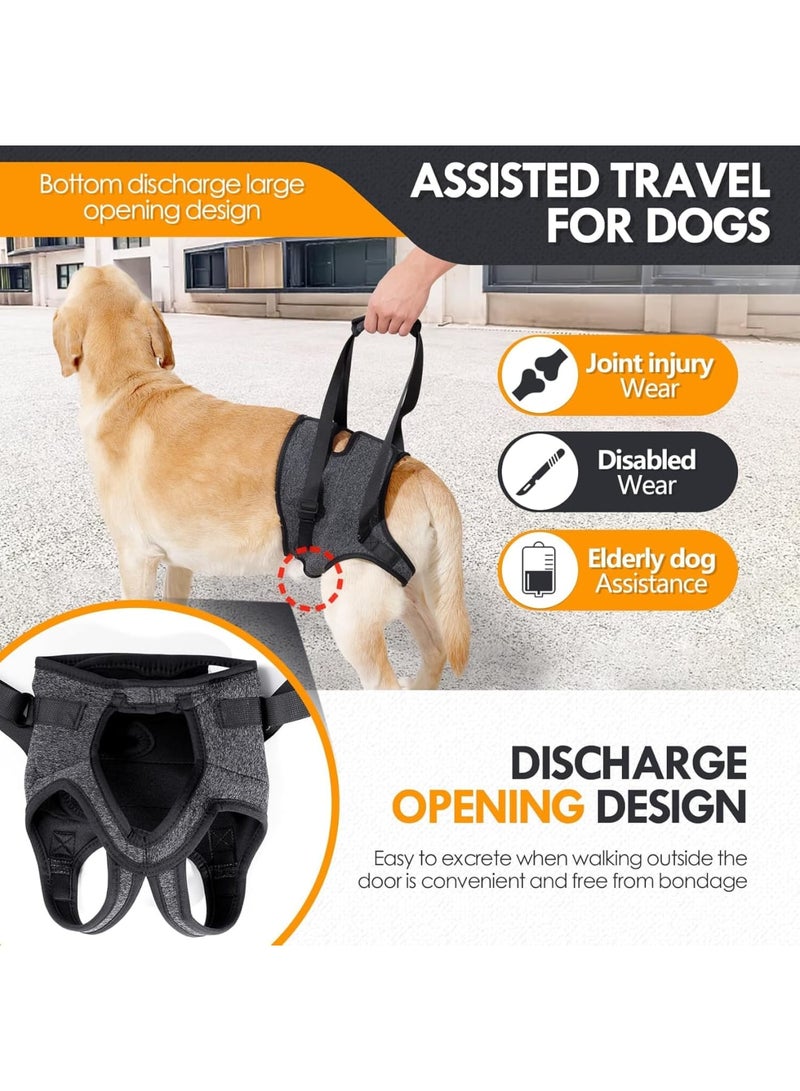 SYOSI Dog Lift Harness, Padded Hind Leg Support Sling for Senior, Injured or Disabled Dogs and Post-Surgery Recovery, Adjustable and Comfortable for Walking and Mobility Assistance, Size L, Dark Gray - Image 3
