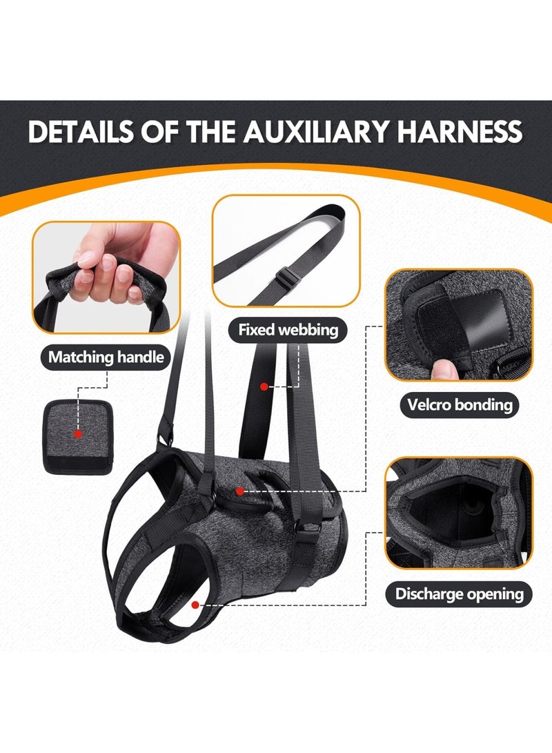 SYOSI Dog Lift Harness, Padded Hind Leg Support Sling for Senior, Injured or Disabled Dogs and Post-Surgery Recovery, Adjustable and Comfortable for Walking and Mobility Assistance, Size L, Dark Gray - Image 2