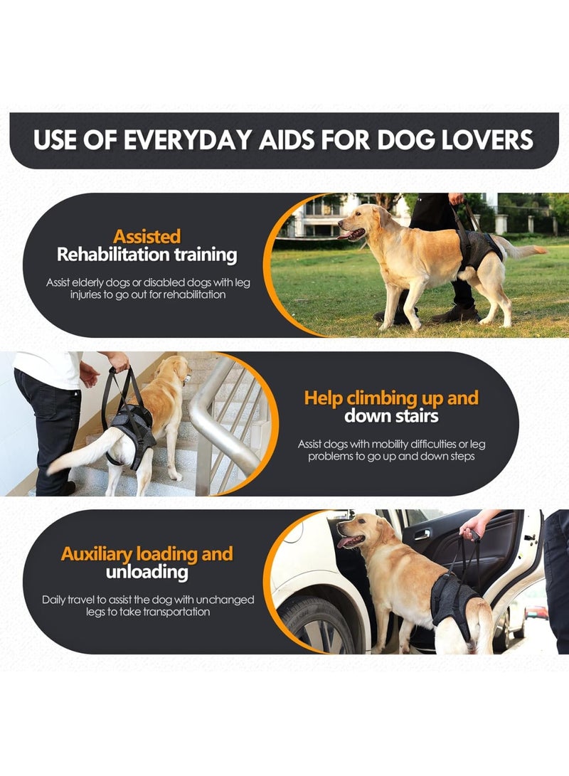 SYOSI Dog Lift Harness, Padded Hind Leg Support Sling for Senior, Injured or Disabled Dogs and Post-Surgery Recovery, Adjustable and Comfortable for Walking and Mobility Assistance, Size L, Dark Gray - Image 5