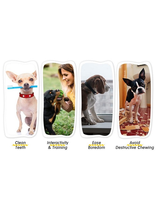 لعبة مضغ على شكل دمبل مطاطي قوي غير سام للكلاب | لعبة تنظيف الأسنان التفاعلية للجراء والكلاب - قطعة واحدة (قد يختلف اللون) - Image 5