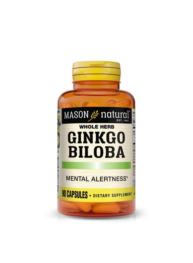 Mason Natural Mason Vitamins Gingko Biloba Capsules, 90 Count - Image 1