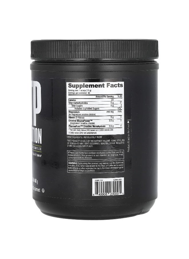 NutraBio NutraBio, ATP Evolution, 17 oz (480 g)  - Image 2