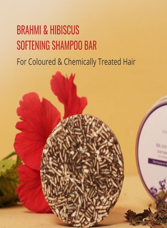 Vriksha Veda All-Natural Shampoo Bar for Dry & Frizzy Hair | Brahmi & Hibiscus | Sulphate-Free, Paraben-Free, Eco-Friendly, Plastic-Free, Sustainable Hair Care (60 gm) - Image 2
