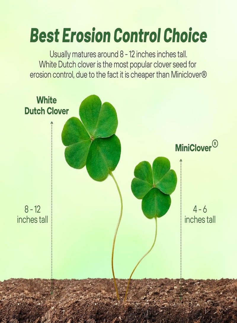 GGOOT Perennial White Dutch Clover Seed - 1/4 gs. Nitrocoated, Inoculated Clover Seeds for Lawn Alternative, Erosion Control, Food Plots, Ground Cover, & Pasture Mixtures in USDA Zones 3-10 - Image 3
