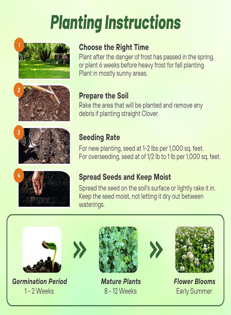 GGOOT Perennial White Dutch Clover Seed - 1/4 gs. Nitrocoated, Inoculated Clover Seeds for Lawn Alternative, Erosion Control, Food Plots, Ground Cover, & Pasture Mixtures in USDA Zones 3-10 - Image 5