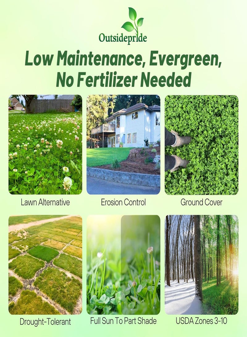 GGOOT Perennial White Dutch Clover Seed - 1/4 gs. Nitrocoated, Inoculated Clover Seeds for Lawn Alternative, Erosion Control, Food Plots, Ground Cover, & Pasture Mixtures in USDA Zones 3-10 - Image 2