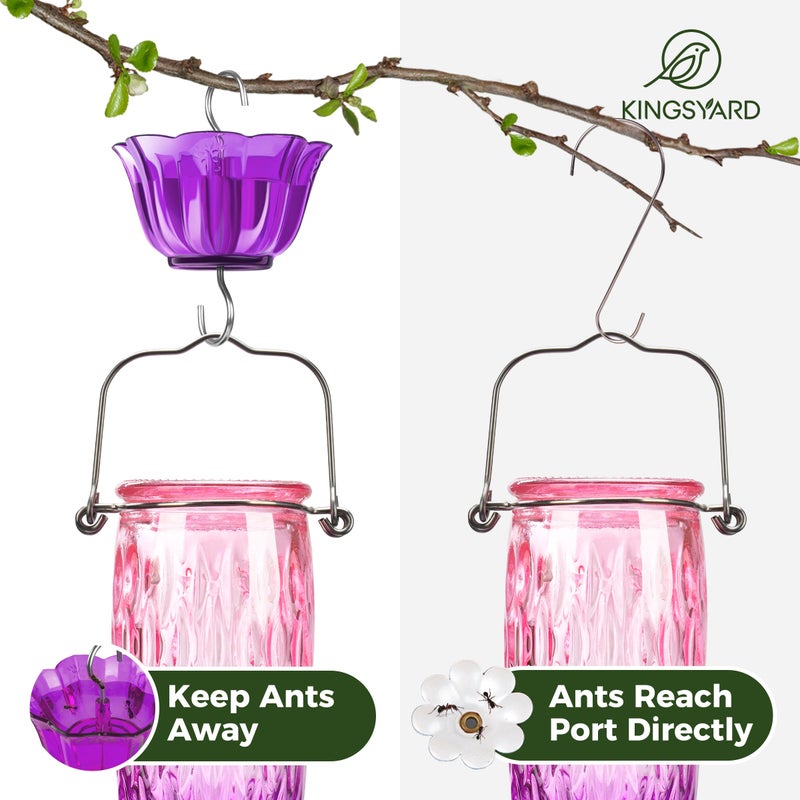 Kingsyard Hummingbird Feeders for Outdoors Hanging, 24 Ounce, Glass Hummingbird Feeder with Ant Moat & 6 Bee Guard Feeding Ports, Leak-Proof, Pink & Purple - Image 4