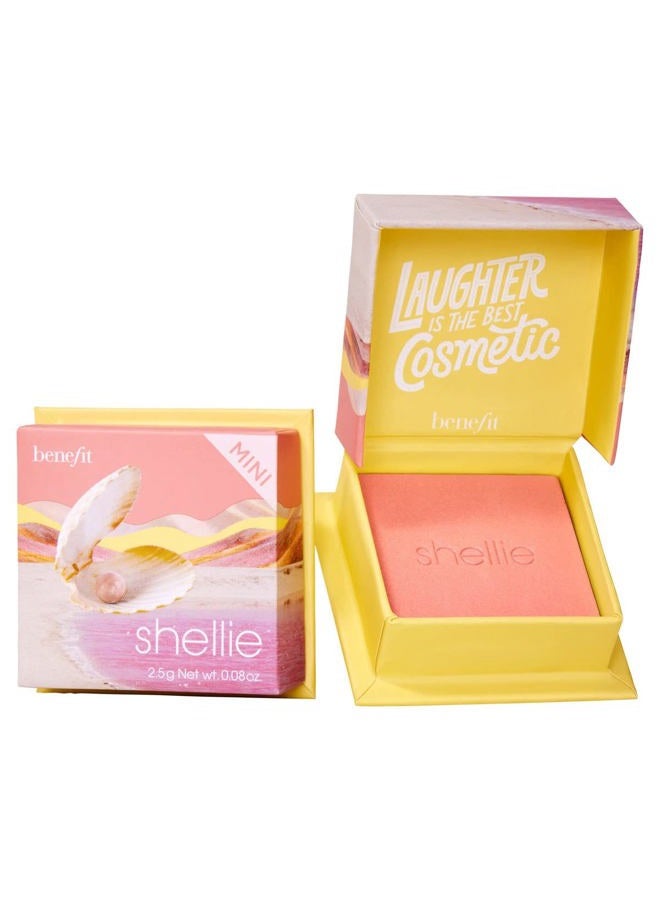 Benefit Cosmetics أحمر خدود وندر فُل وورلد ناعم كالحرير شيللي - Image 1