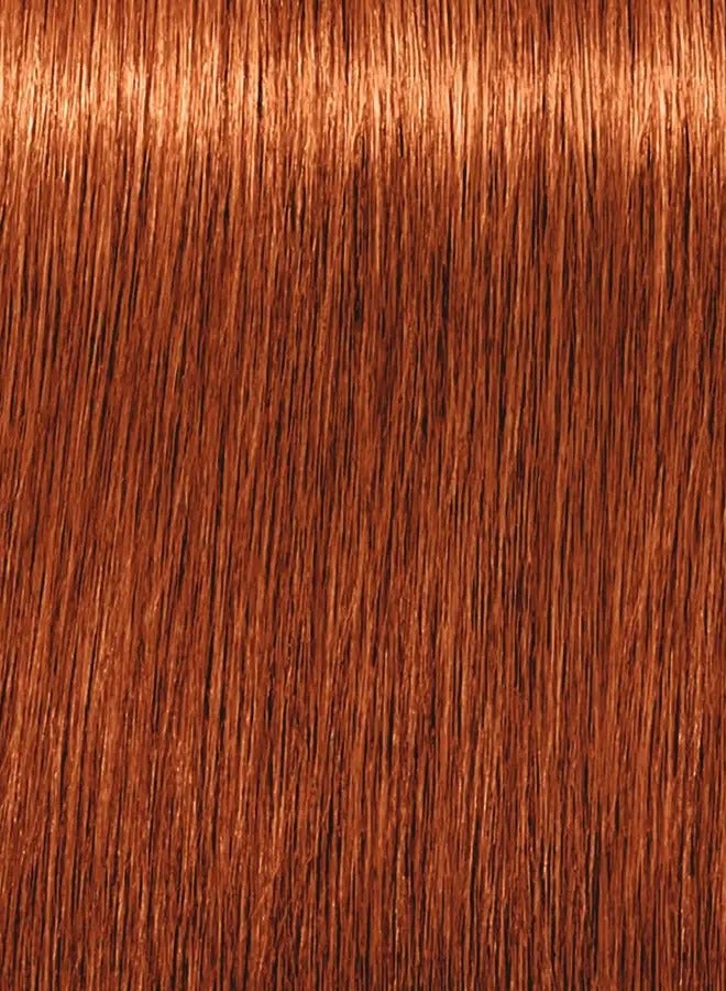 إندولا صبغة شعر إندولا بي سي سي | ٧.٤٤ أشقر متوسط ​​نحاسي كثيف | صبغة شعر عصرية دائمة | لون ولمعان نابض بالحياة يدومان طويلاً | ٦٠ مل - Image 2