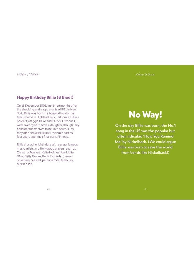 The Pocket Billie Eilish - Image 4