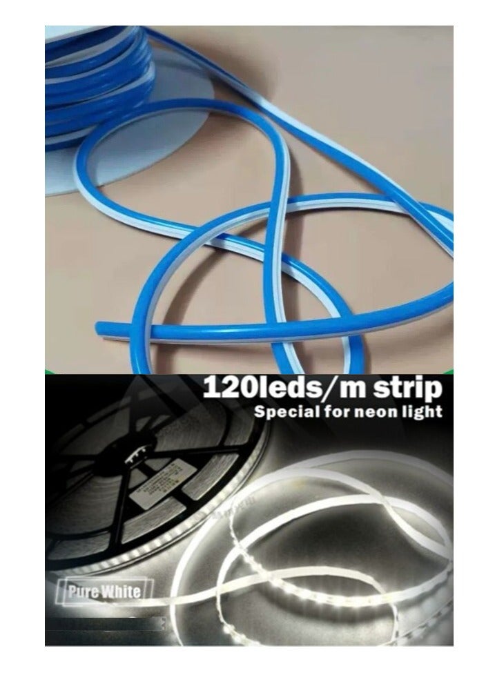 شريط مرن LED من نوع S، حبل LED قابل للفصل، للإشارات المضيئة، أنبوب سيليكون، لون أزرق، 6*9 مم، 5 أمتار، جهد 12 فولت تيار مستمر، شرائط سيليكون خارجية مقاومة للماء، تُستخدم في إضاءة النيون، اللافتات، لوحات الإعلانات، الشعارات، صناديق الإعلانات المضيئة، وحدات الإضاءة.  - Image 1