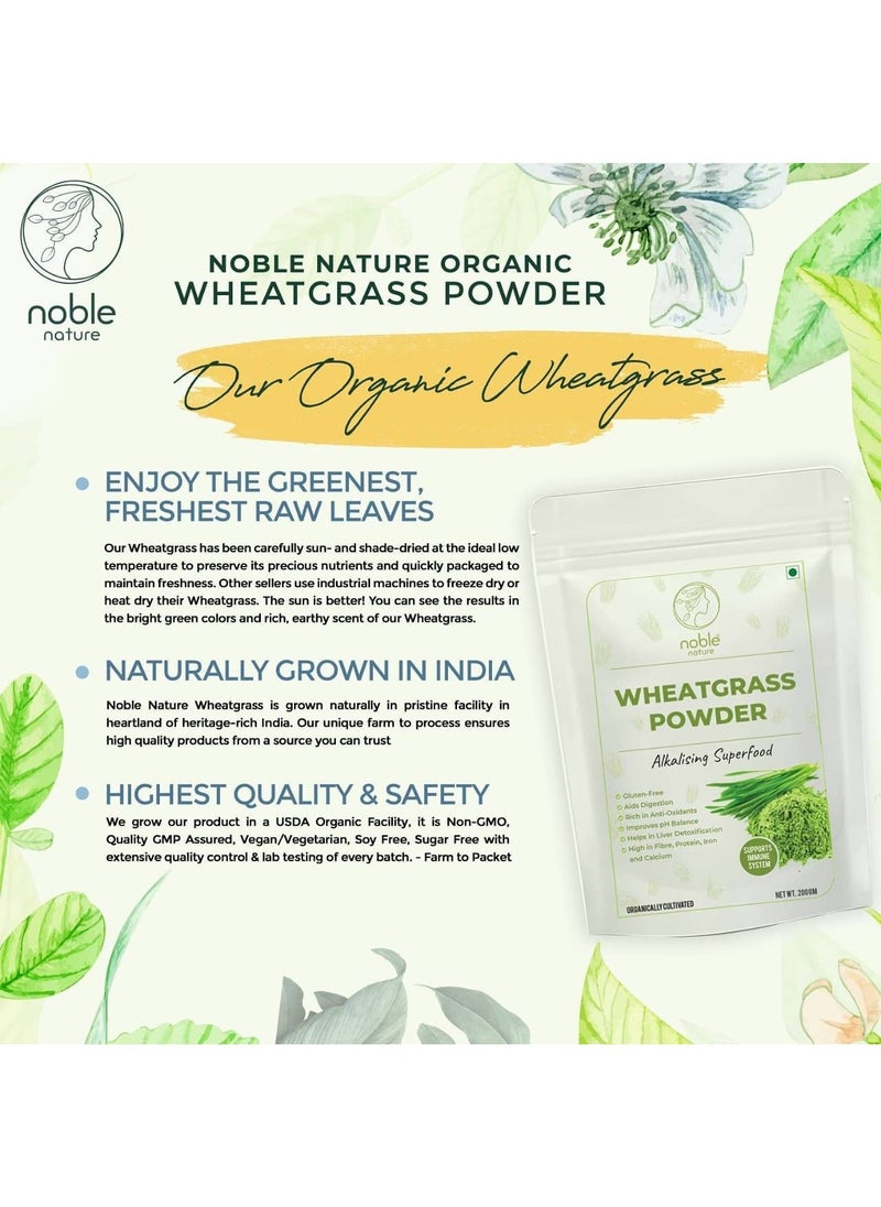 Organic Wheatgrass Powder 200gm Vegan Non GMO Gluten Free Rich in Fiber Chlorophyll Fatty Acids & Minerals Immunity Booster & Support Superfood - pzsku/Z47D1477FDE2DE932713AZ/45/_/1645355048/b8d5d956-084a-4cee-bf64-5d6a2d47db9c