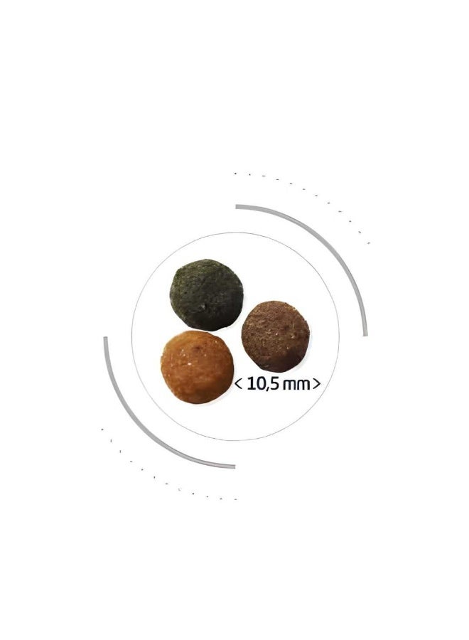 PRO NUTRITION Prestige Cat Adult Large Breed With Chicken 2Kg - Image 3