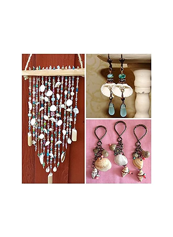 The Bros Small Tiny Sea Shells White Clam Bulk Natural Seashell for DIY Craft Home Decor Vase Fillers, 100Pcs - Image 3