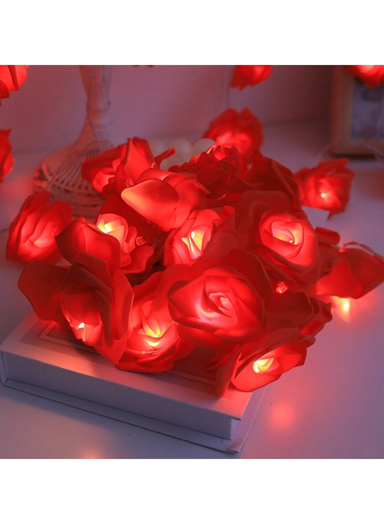 KUYING Girl Heart Pink White Rose Light String LED Night Light USB Style 