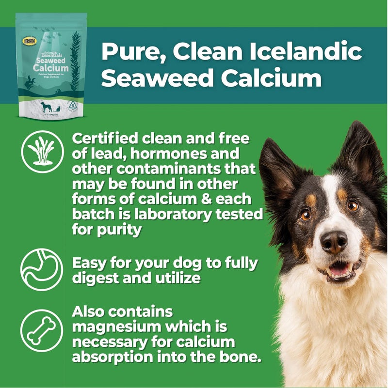 Animal Essentials Sea-Cal - Pure Seaweed Calcium Powder for Dogs with Magnesium, Joint Supplement for Dogs & Cats for Healthy Bones & Teeth, Joint Health, Vegan Icelandic Seaweed Calcium - 12 oz - Image 3