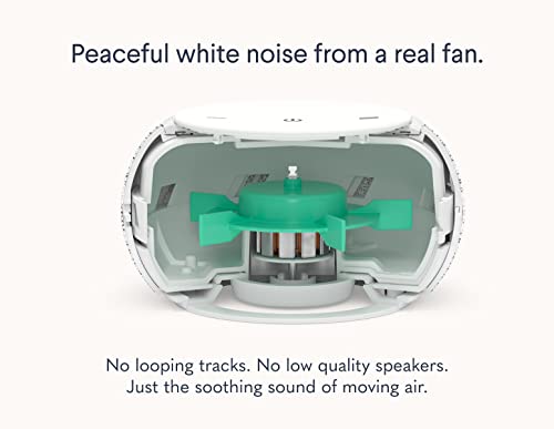 SNOOZ Pro - Smart White Noise Machine & Travel Case - Real Fan Inside, Non-Looping White Noise, Adjustable Tone & Volume - App-Based Remote Control & Sleep Timer (Cotton) - Image 3