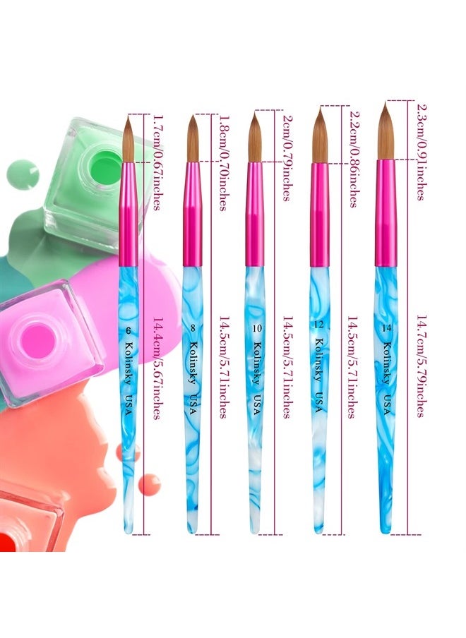 Geiserailie 5 Pieces Kolinsky Acrylic Nail Brush Kolinsky Hair Bristles Crimped Shaped Handle Acrylic Brush Nail Brushes for Acrylic Application Nail Art Manicure Tool Size 6, 8, 10, 12, 14 (Pink, Blue and White)  - Image 2