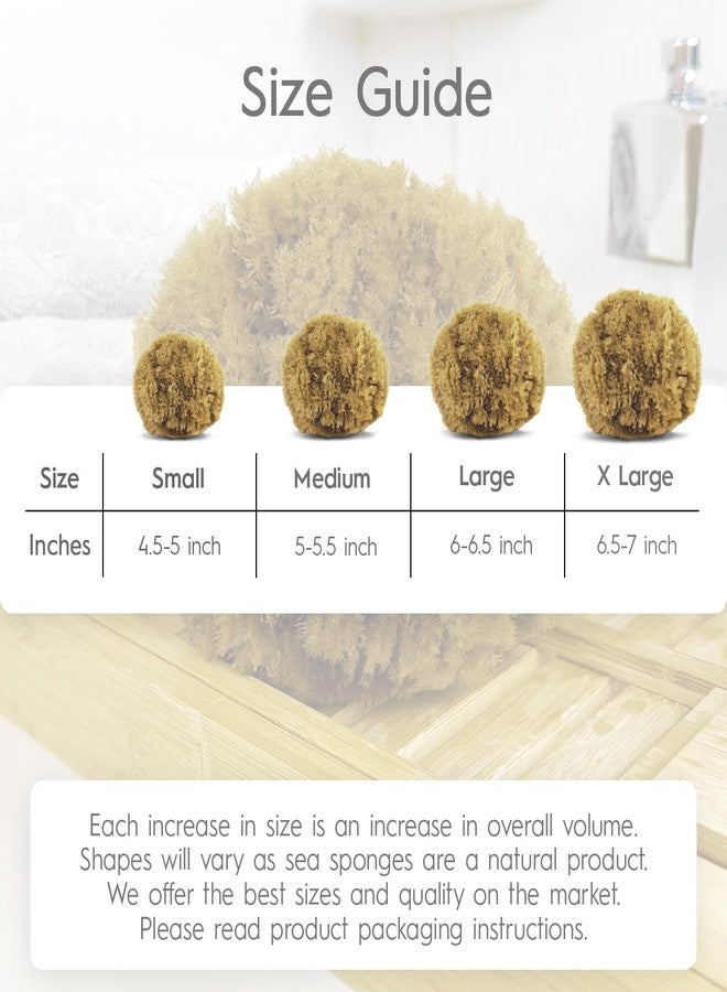 Naroa Exfoliating Natural Sponge for Shower X Large | Bath Sea Loofah for Healthy Skin | Unbleached Bathing Body Scrubber Puff | Plastic Free - Image 5