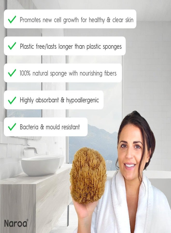 Naroa Exfoliating Natural Sponge for Shower X Large | Bath Sea Loofah for Healthy Skin | Unbleached Bathing Body Scrubber Puff | Plastic Free - Image 3