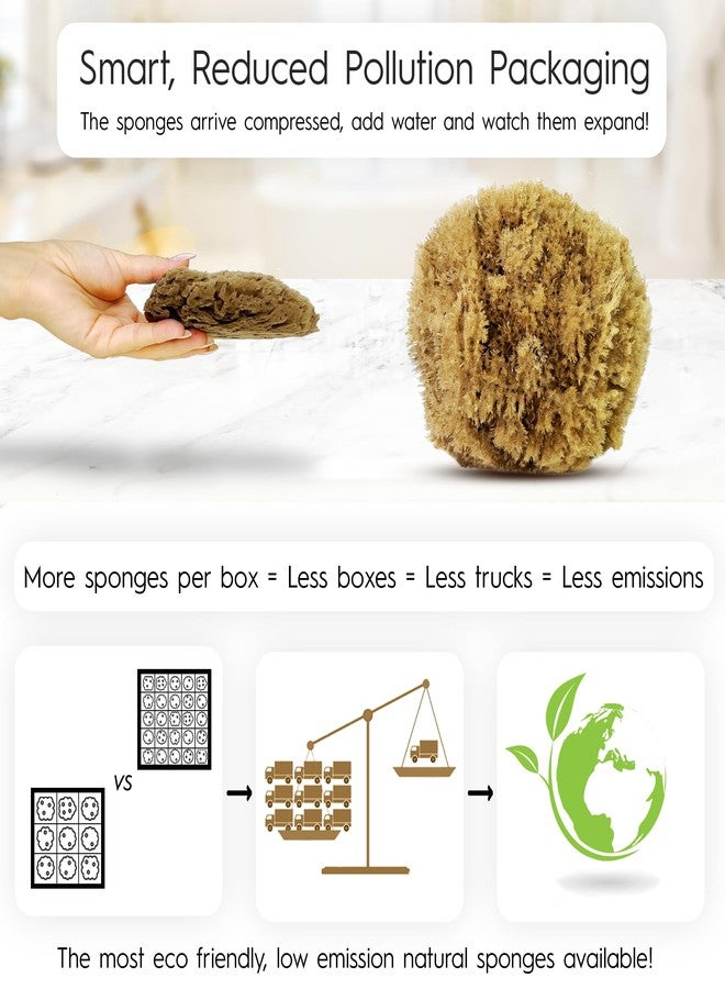 Naroa Exfoliating Natural Sponge for Shower X Large | Bath Sea Loofah for Healthy Skin | Unbleached Bathing Body Scrubber Puff | Plastic Free - Image 2