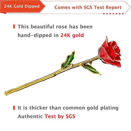 AliveRose Valentines Day Gift Rose, Long Stem Rose Made from 24K Gold Dipped Real Rose Gift for her Rose(Red with Crystal Vase) - Image 4
