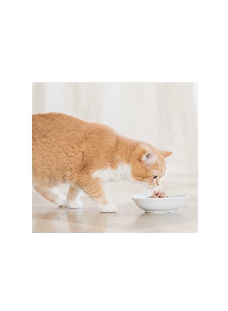 Schesir Cat Pouch-Wet Food Tuna With Seabass 50g  - Image 3