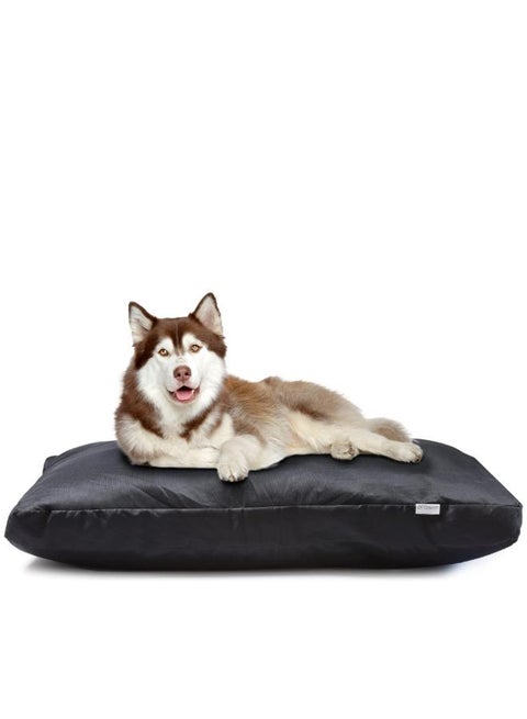 مرتبة كلب سفنج بلاستيك – مقاومة للماء، متينة، ومقاومة للخدوش