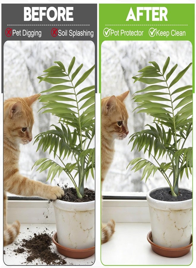 phepetroll 6 Pack Plant Pot Grids - 11.8 Inch Cuttable Soil Cover Protector from Cats, Animals Digging Stopper, Indoor Plant Pot Soil Guard for Outdoor Garden Balcony - Image 4