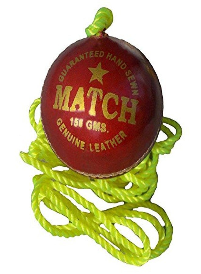 Tima Super Match Practice Knocking Hanging Ball (Pack of 2) - Image 3