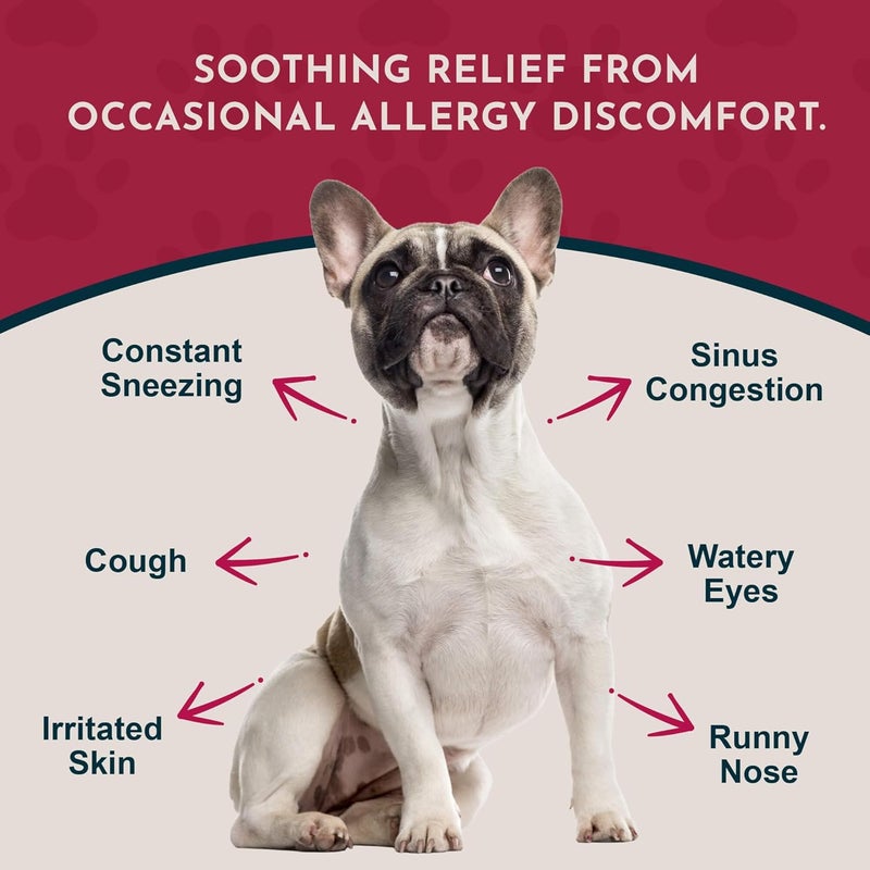 Animal Essentials Seasonal Allergy Herbal Supplement for Dogs & Cats - 1 fl oz - Sweet Tasting Allergy Relief - Image 2