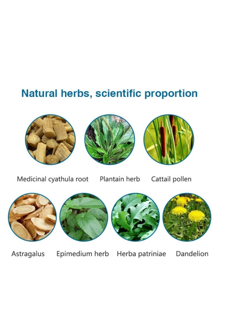 وينز تاون شاي أعشاب لحماية الكبد، شاي أقحوان كاسيا، نظام غذائي غني بالدهون، إرهاق، البقاء مستيقظًا في كثير من الأحيان حتى وقت متأخر 20 كيسًا - Image 4