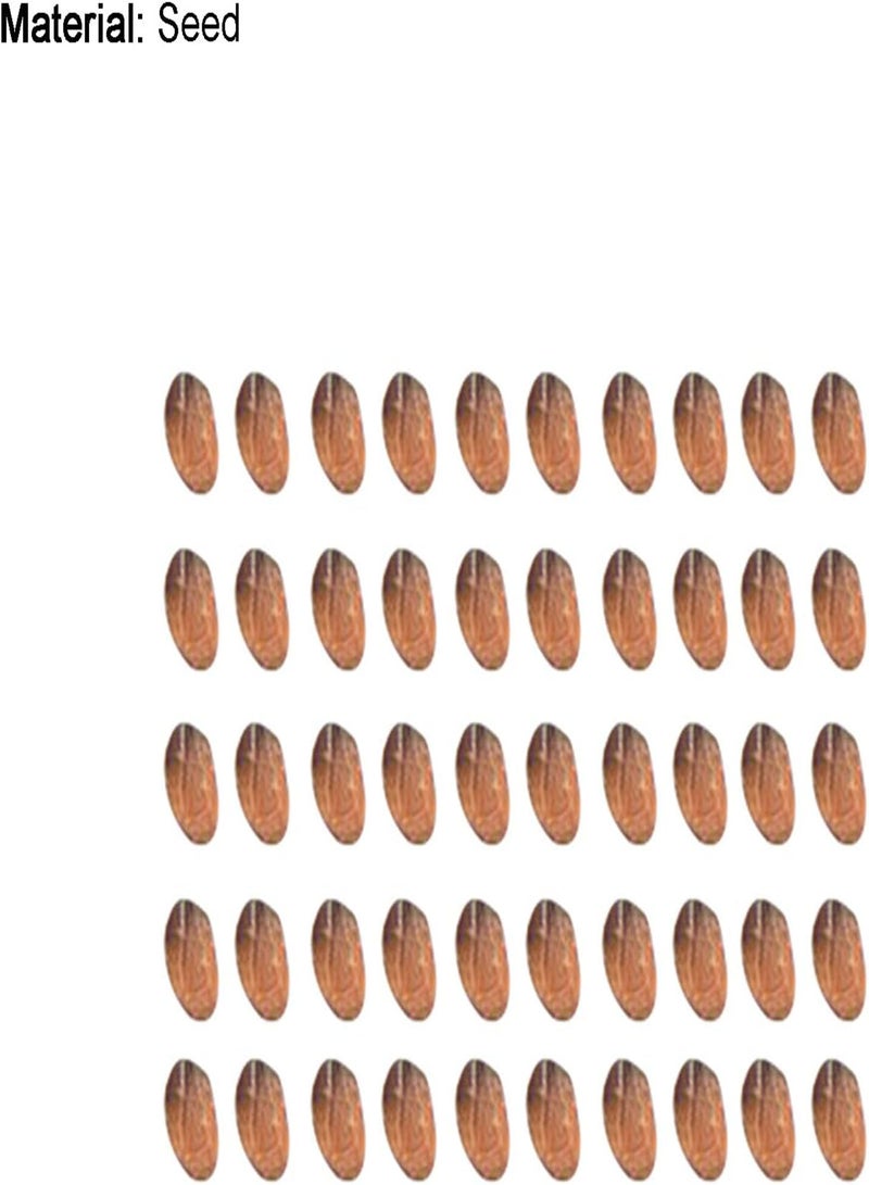 جي جوت بذور نباتية 50 قطعة/كيس من بذور التوت الجميل، مزدهرة وعالية الغلة، مقاومة للجفاف، سريعة النمو، شتلات بونساي للحديقة - بذور - Image 5