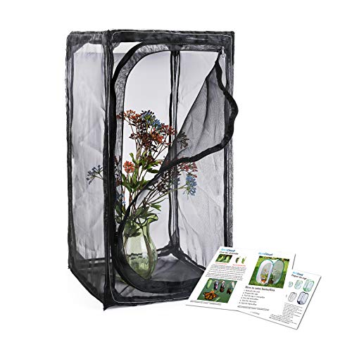RESTCLOUD 30" Heavy Duty Monarch Butterfly Habitat, Outdoor Collapsible Insect Mesh Cage Terrarium Pop-up with Zipper Protection and Unzip Bottom - Image 1