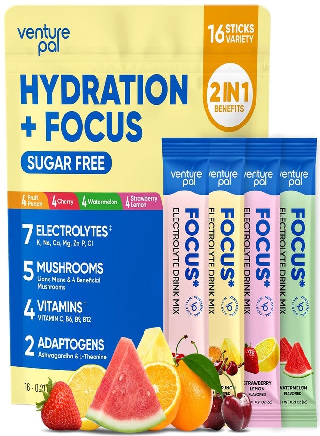 Venture Pal 2-in-1 Hydration Packets + Focus Support Electrolytes Powder, 7 Electrolytes + Vitamins, Magnesium, Lion's Mane & L-Theanine | Sugar Free Liquid Daily IV Drink Mix, Vegan, Keto, 16 Sticks - Image 1