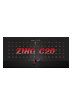 SEGWAY Ninebot eKickScooter ZING C20 