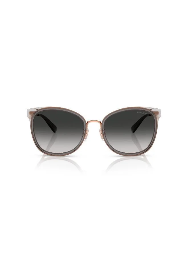 كوتش 0Hc7170 Oversized Sunglasses