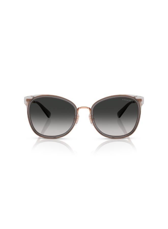 كوتش نظارات شمسية كبيرة الحجم - Image 1