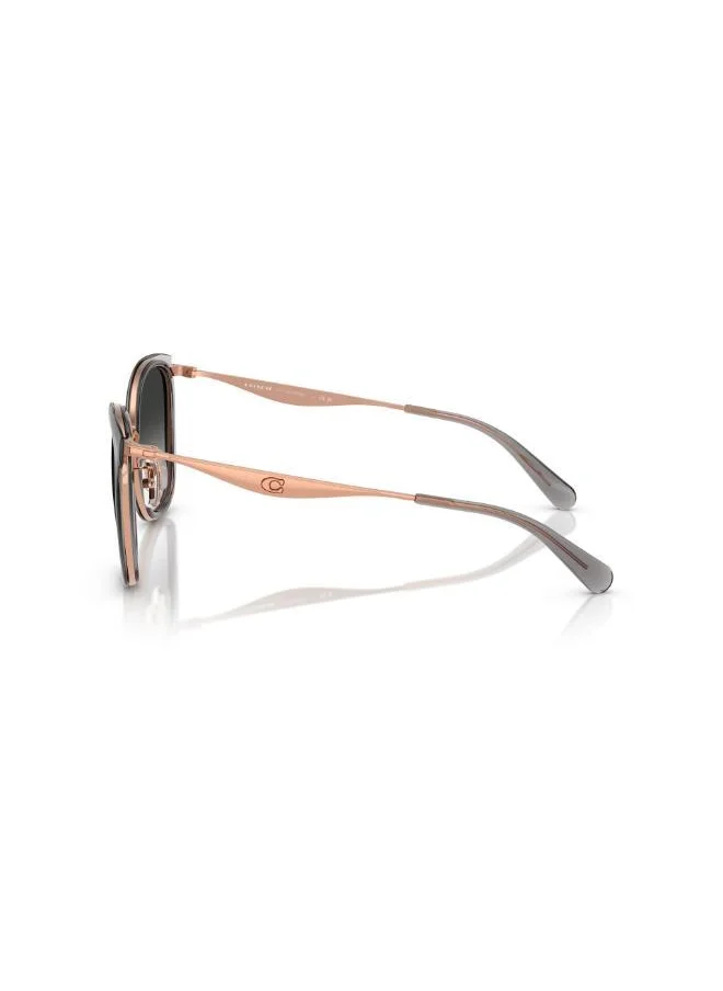 COACH 0Hc7170 Oversized Sunglasses
