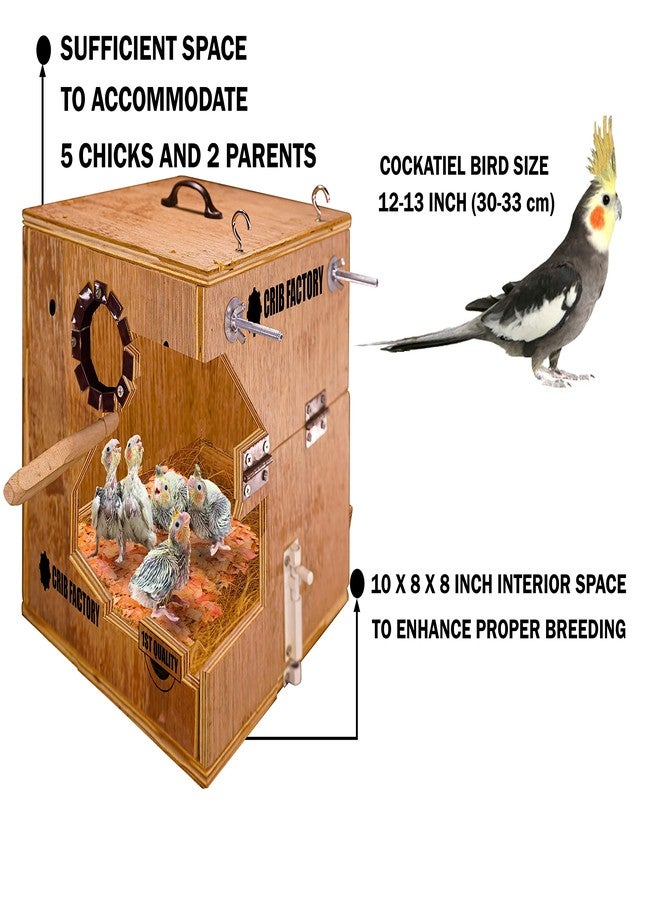 CRIB FACTORY Perfect Breeding Box for Cockatiel Birds | HIGH-QULTY Plywood | 10X10X12 INCH | Designed for Cockatiel (with Two Tray) - Image 2