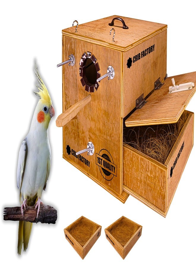 CRIB FACTORY Perfect Breeding Box for Cockatiel Birds | HIGH-QULTY Plywood | 10X10X12 INCH | Designed for Cockatiel (with Two Tray) - Image 1